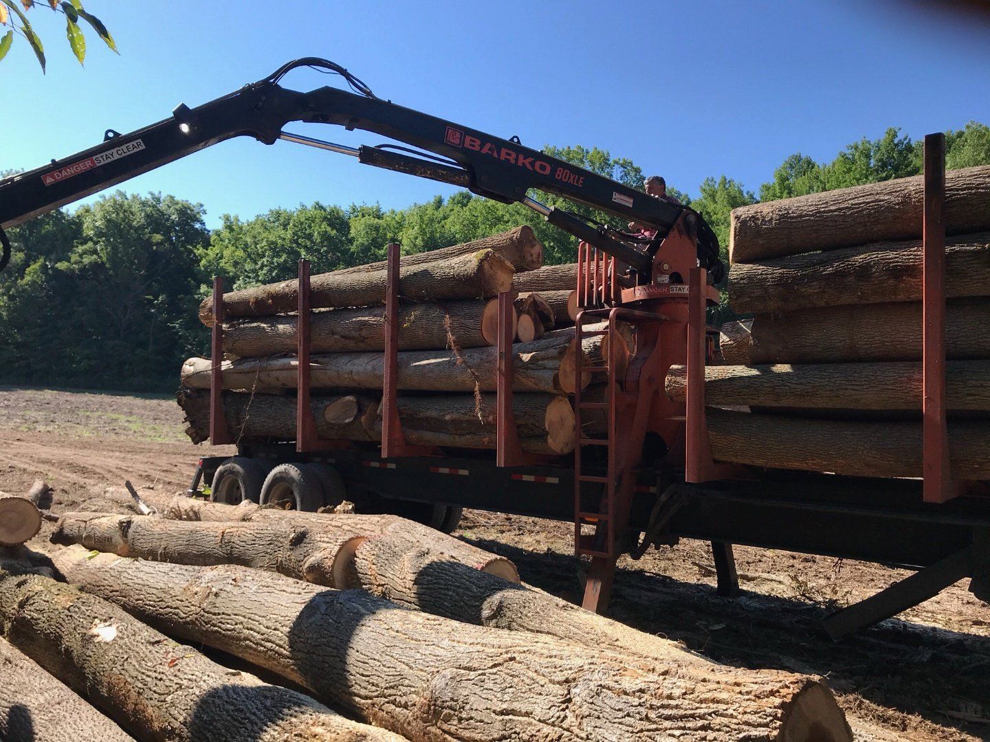 Lumberjack Harvesting Timber in A Forest — Baldwinsville, NY — Shute Landscaping