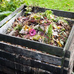 Garden maintenance