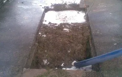 Waste Removal