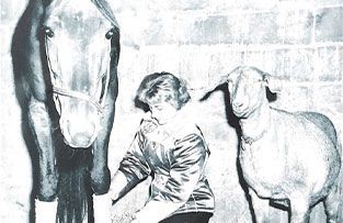 A person in a barn kneeling between a horse on the left and a goat on the right.