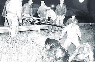 A group of people works together at night to lift a long metal pole near a grassy embankment.