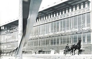 A horse pulling a sulky moves along a track in front of the large, multi-story glass facade of a grandstand.
