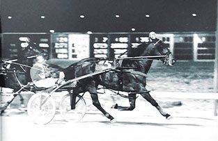 A harness racer wearing a helmet and racing silks drives a horse pulling a sulky on a dirt track at night.