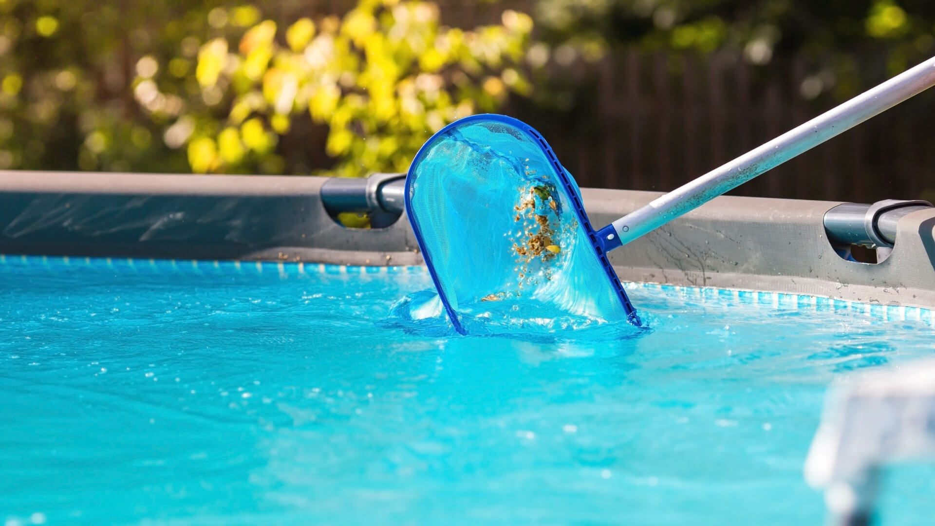 A blue pool skimmer net removes debris from the surface of clear, bright blue swimming pool water.