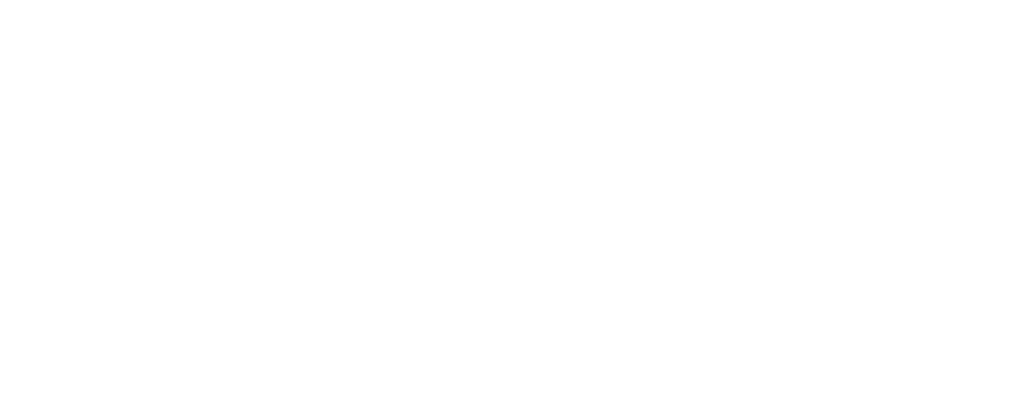 Priscilla's Pristine Cleaning logo