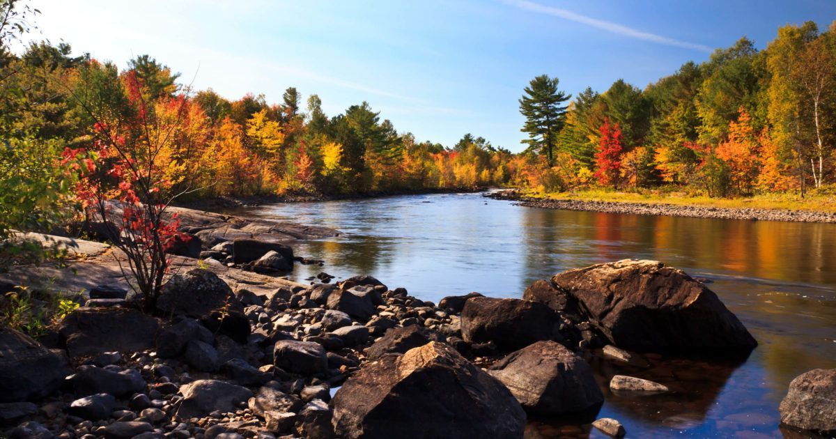 River flowing through vibrant autumn trees under a blue sky, with rocky shore.