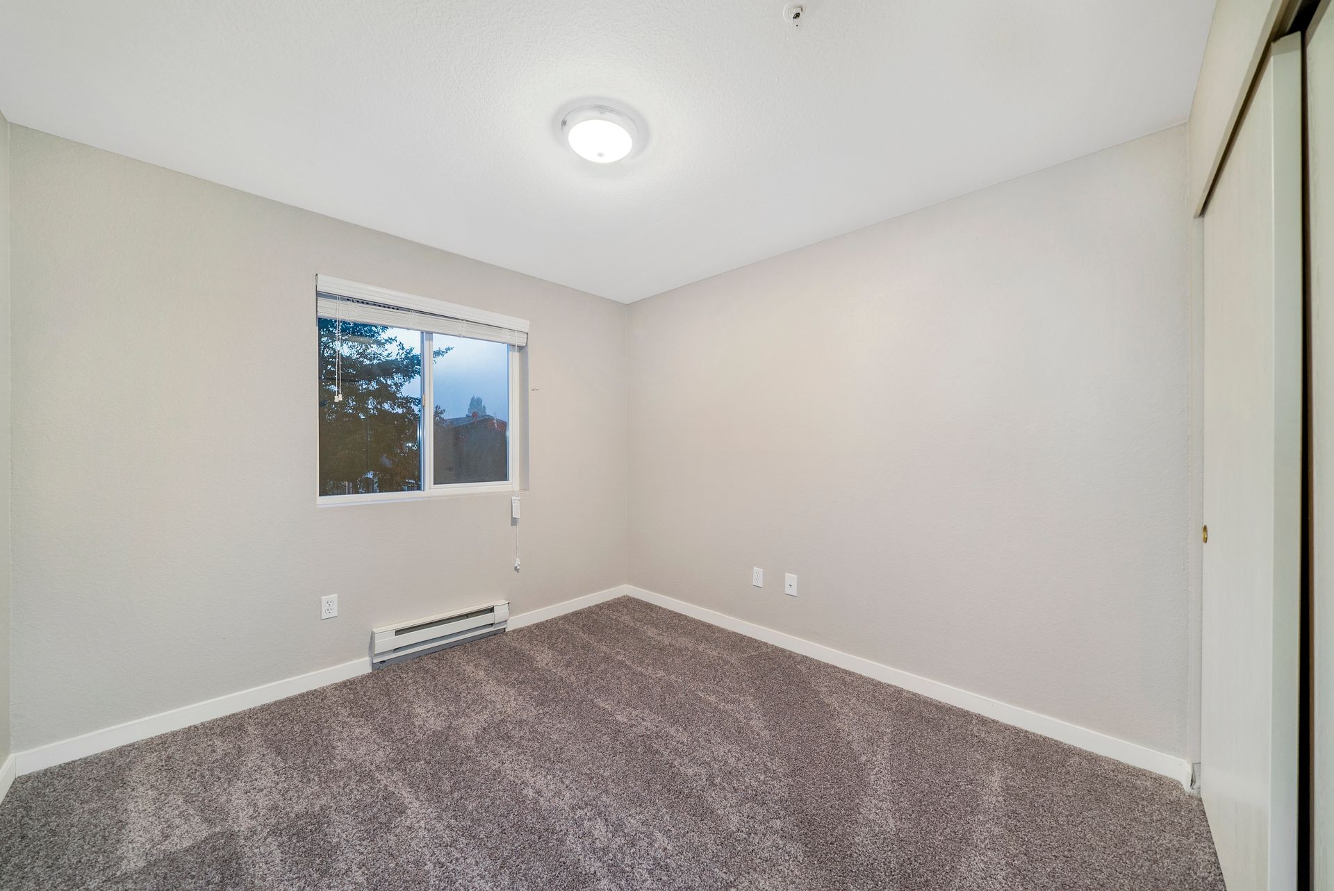 An empty bedroom with a window and a carpeted floor.