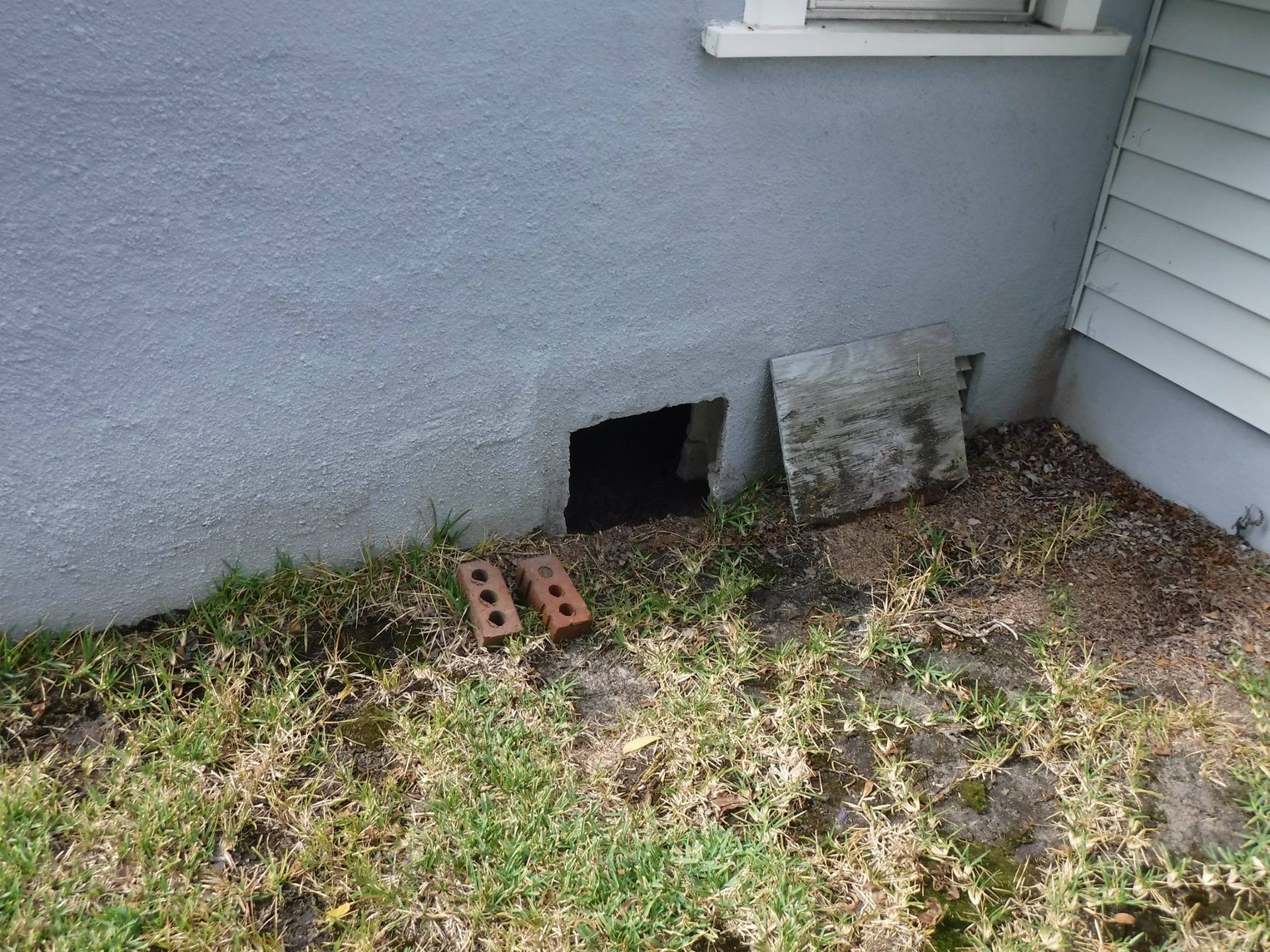 Hole in a gray painted wall, with two bricks and a piece of cement lying in the grass.