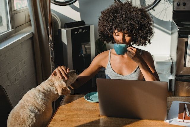 Person sitting at a table on their computer, sipping a much and petting a dog