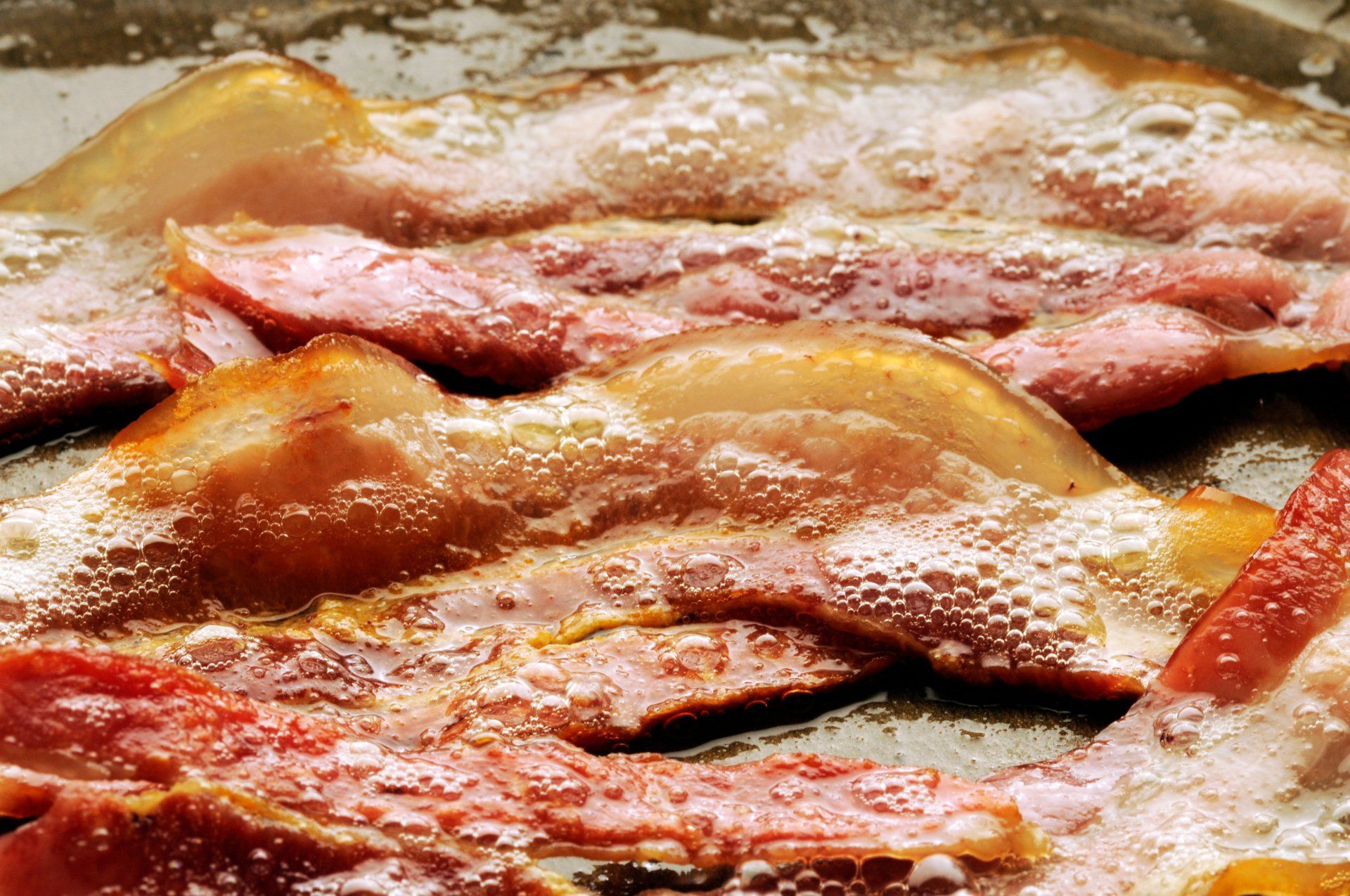 bacon and bacon grease
