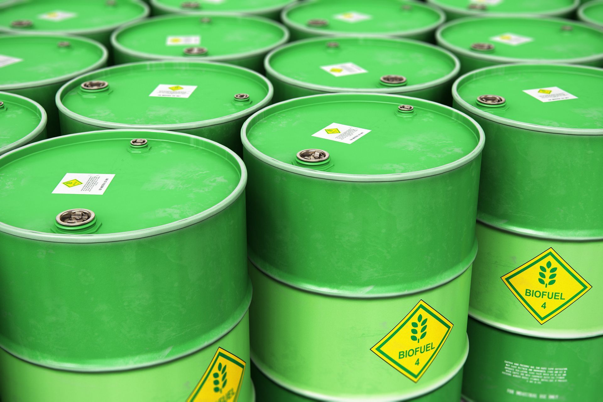 barrels of green biofuel lined up