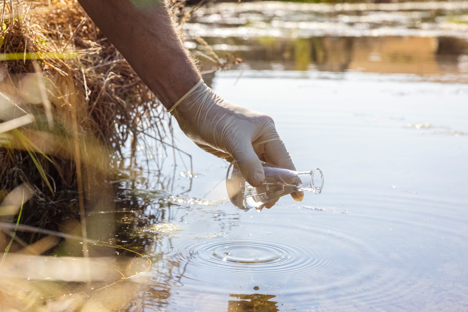 Common Waterborne Illnesses Caused By Contaminated Water