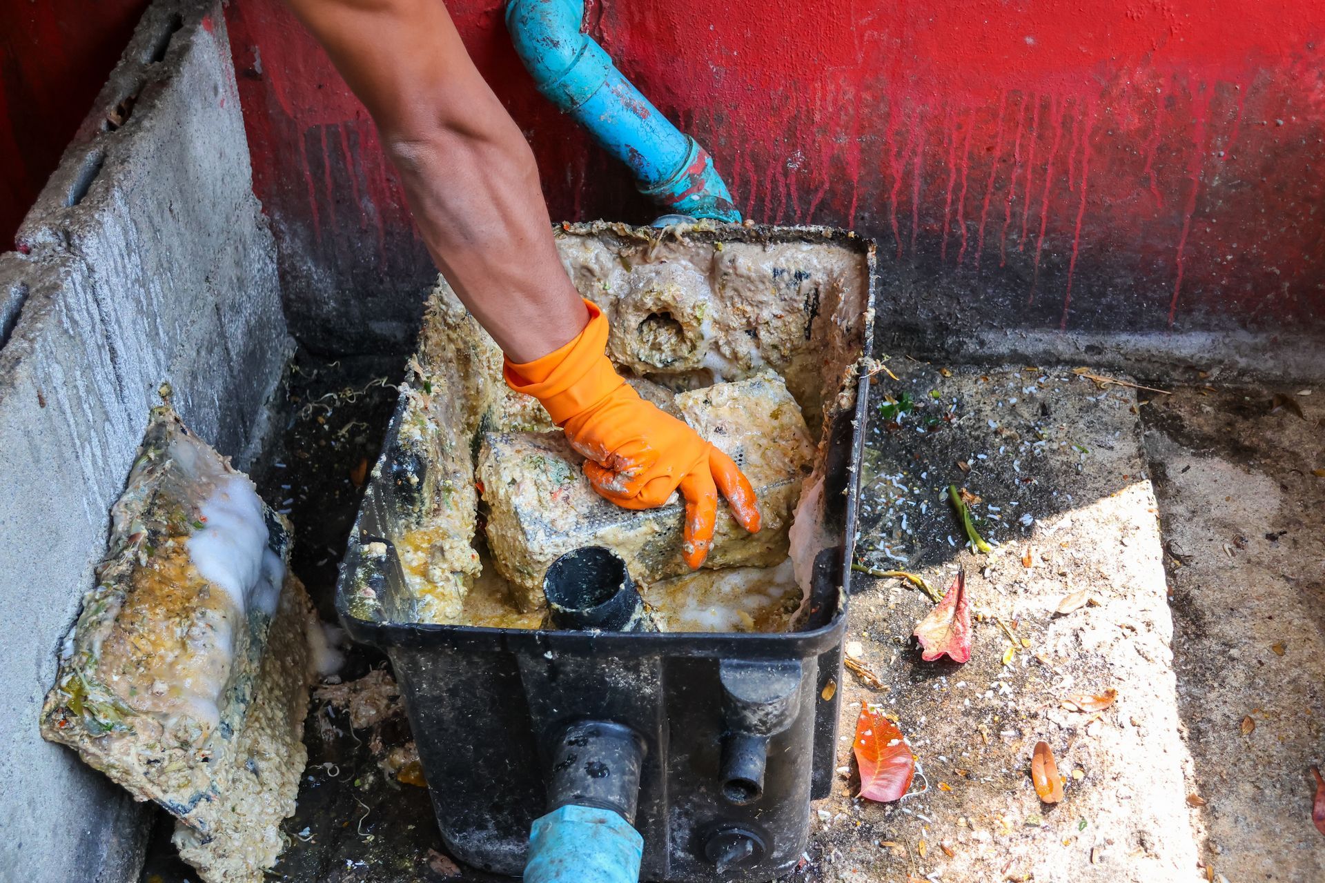 A person wearing an orange glove removes congealed grease and food waste from a plastic grease trap in an outdoor area.