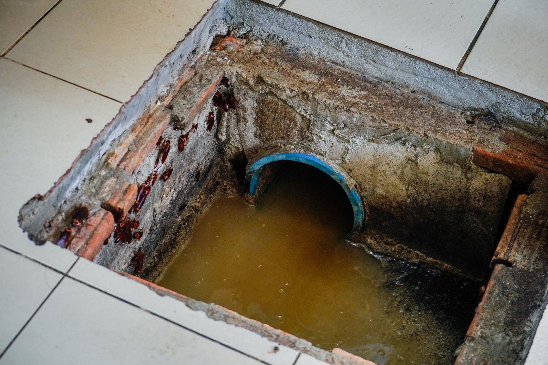 dirty and clogged grease trap