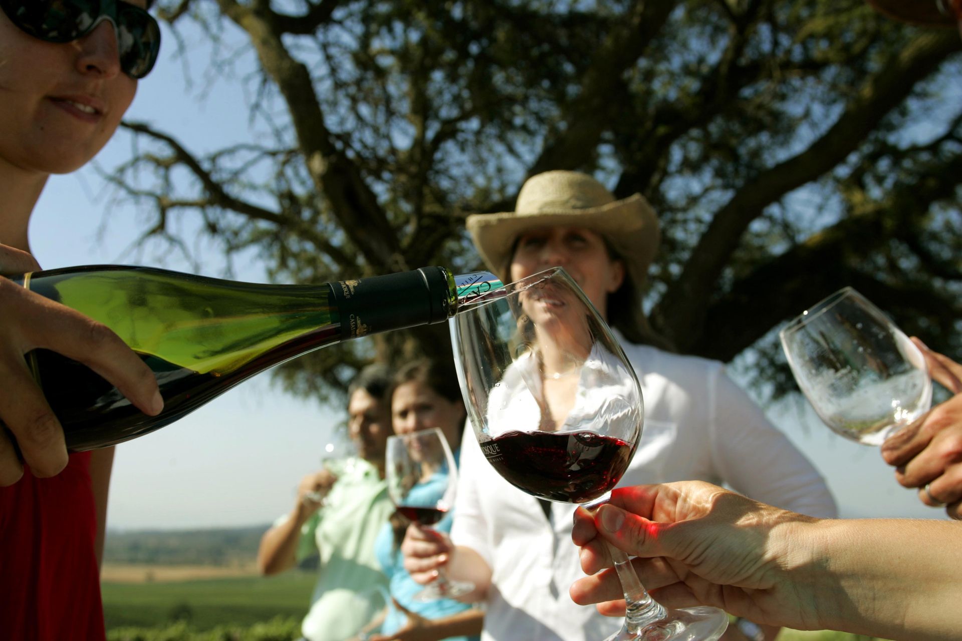 Wine toast in Casablanca