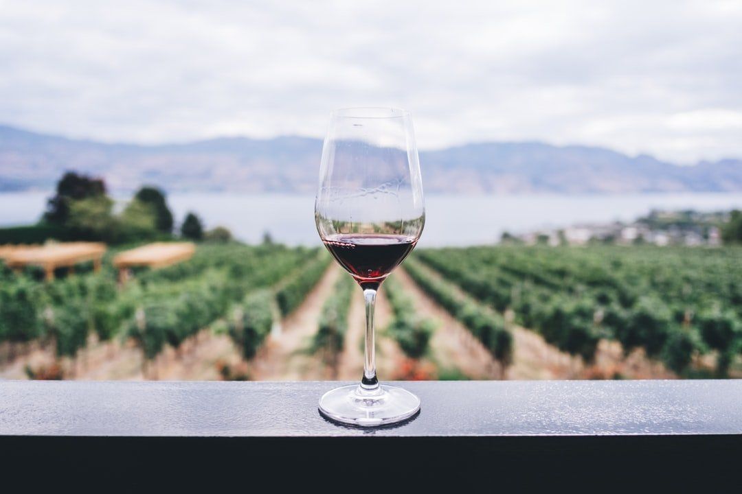 Red wine coup in front of the valley