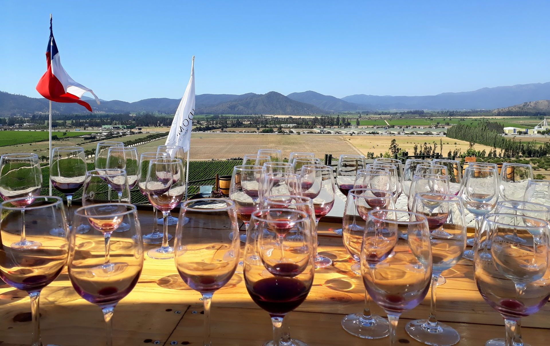 Wine tasting with a lot of coups in Casablanca valley with a view of the hills and vines