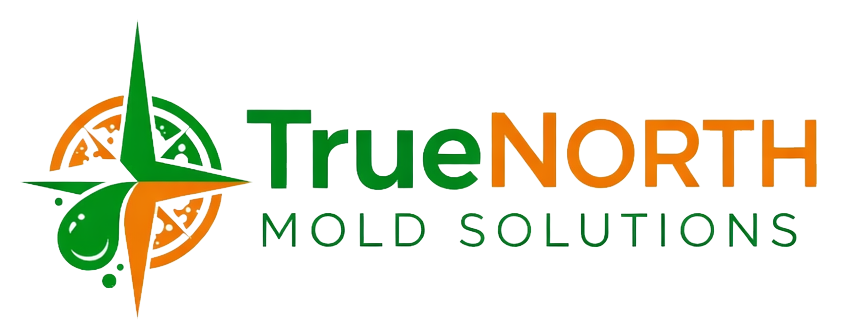 mold inspections and testing