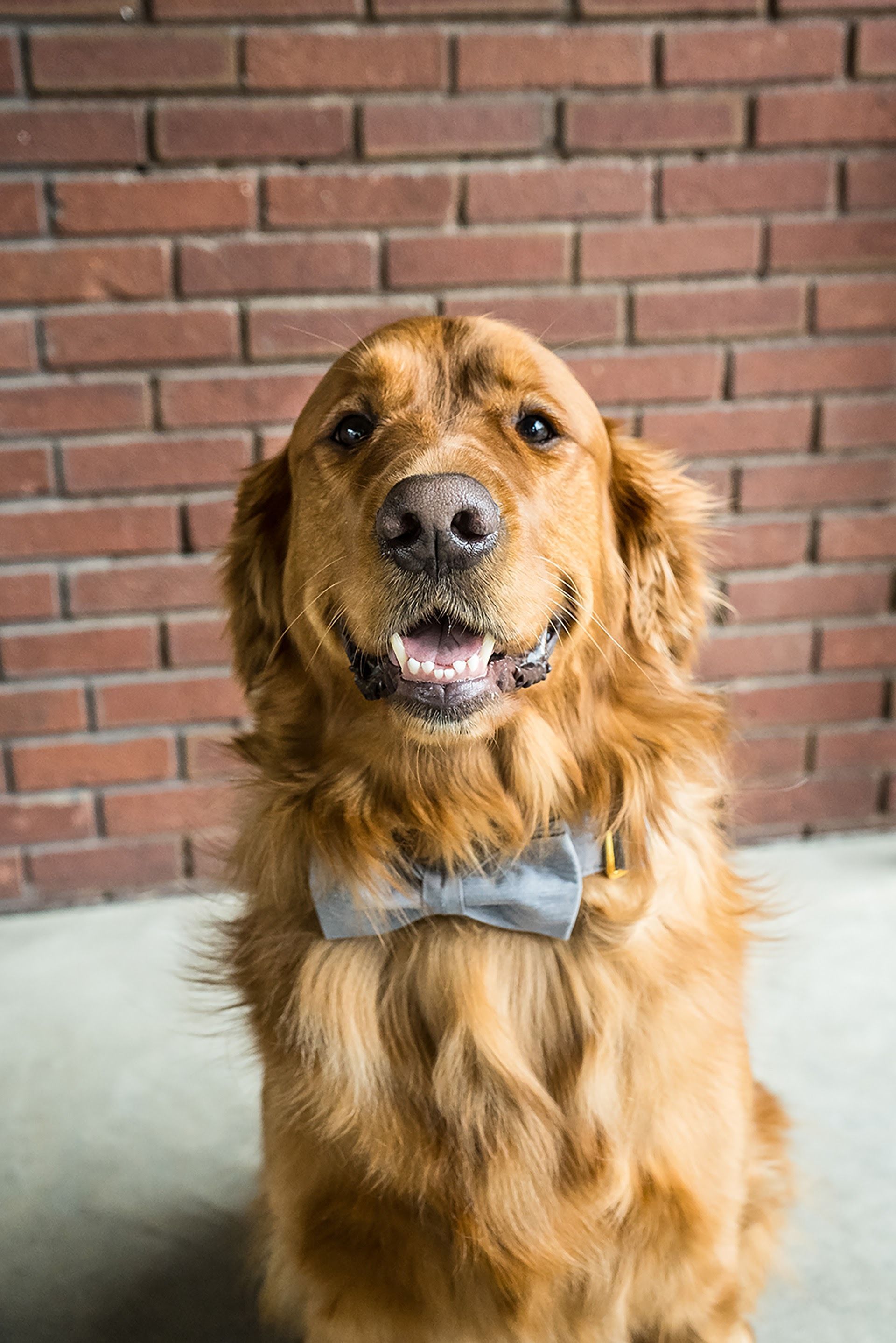 Staff Photo