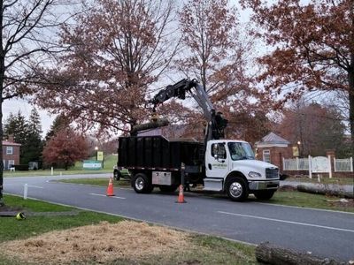 Tree Care WA - Facebook