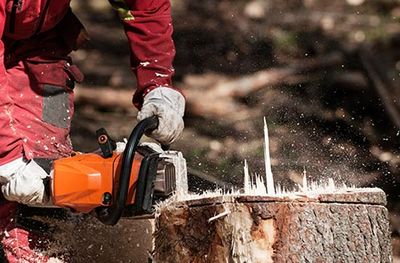 Etter's Tree & Stump Service - Tree Care - Roanoke & Hardy, VA