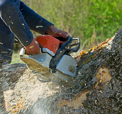 Brown Hound Tree Service