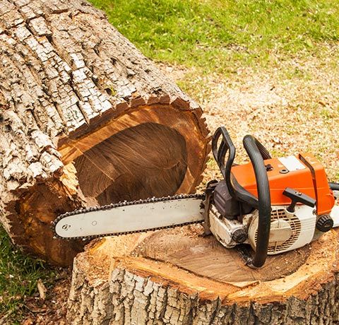 Chainsaw on the Tree Stump | Roanoke, VA | Jay's Tree Service