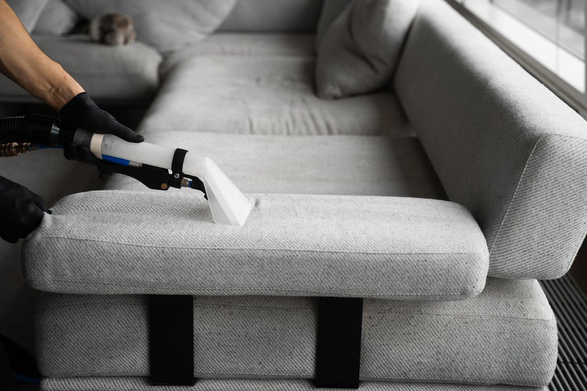Upholstery Cleaning