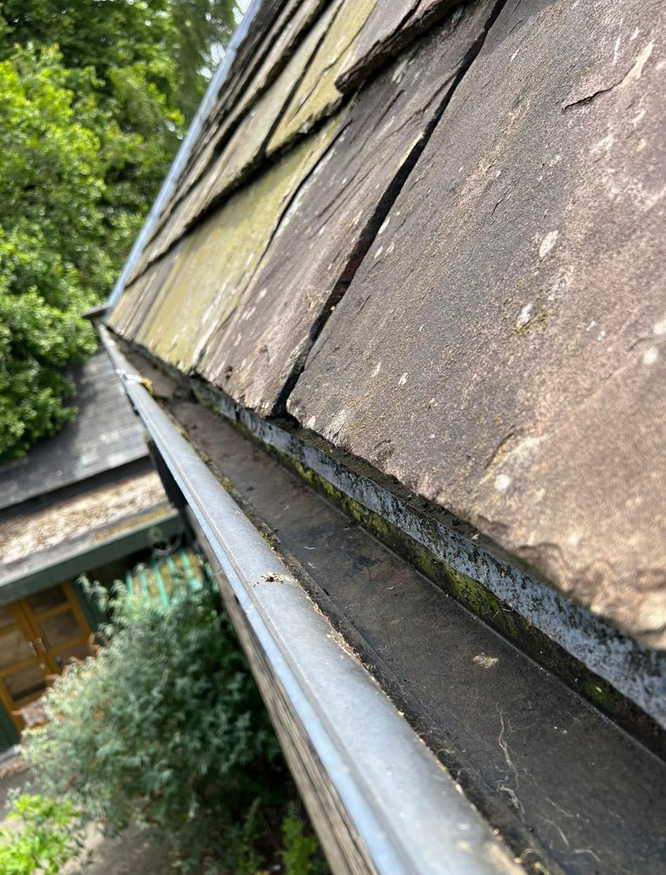 Gutter Cleaning