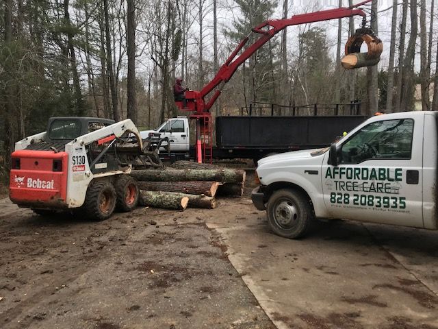 land clearing Asheville NC Woodfin Weaverville Mars Hill Marshall NC