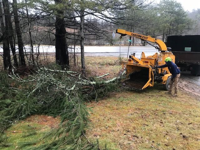tree clearing Asheville NC Woodfin Weaverville Mars Hill Marshall NC