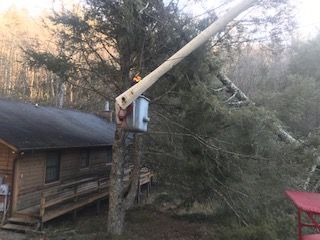 tree removal from house Asheville NC Woodfin Weaverville Mars Hill Marshall NC