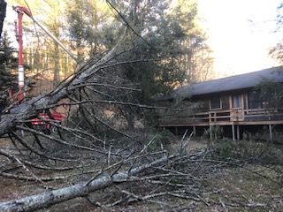 storm damage tree clean up Asheville NC Woodfin Weaverville Mars Hill Marshall NC