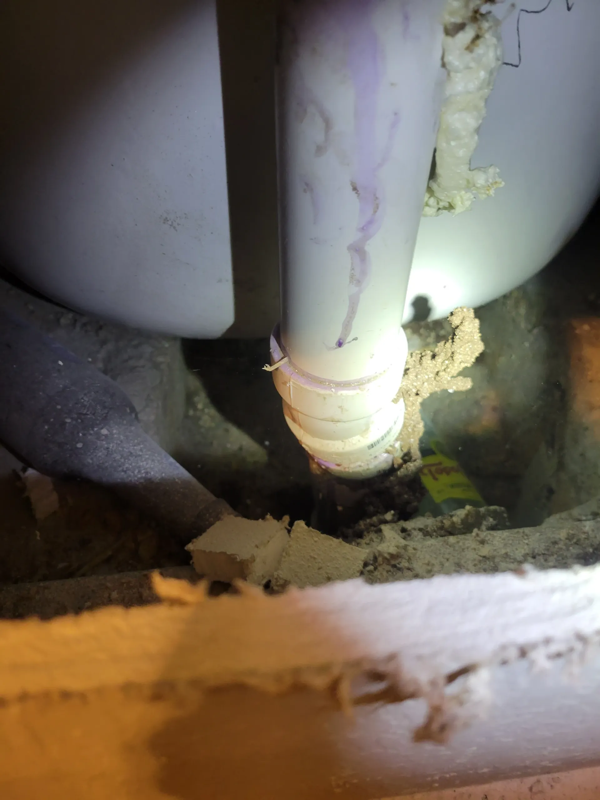 Quarterly pest prevention service by Buzz Off Pest and Termite LLC in Temple, TX
