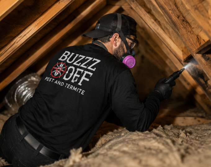 Safe and effective pest management solutions from Buzz Off Pest and Termite LLC in Temple, TX