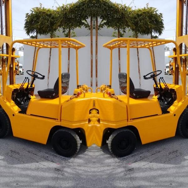 GRÚAS MICCSA - RENTA DE MONTACARGAS