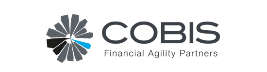Un logotipo para una empresa llamada Cobis Financial Agility Partners.