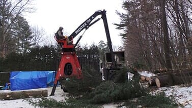 Pruning — Man Removing Tree Logs in Colchester, VT
