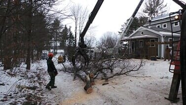 Crane — Man Using Crane to Remove Tree Branches in Colchester, VT