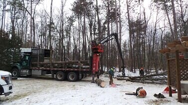 Tree Preservation — Truck Lifting Tree Trunks in Colchester, VT