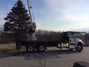 Tree Restoration — 115' Skyhook Telescoping Boom Crane in Colchester, VT