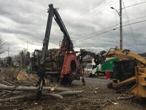 Storm Damage Work — Log Loader in Colchester, VT