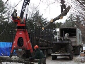 Logging — Wood Chipper in Colchester, VT