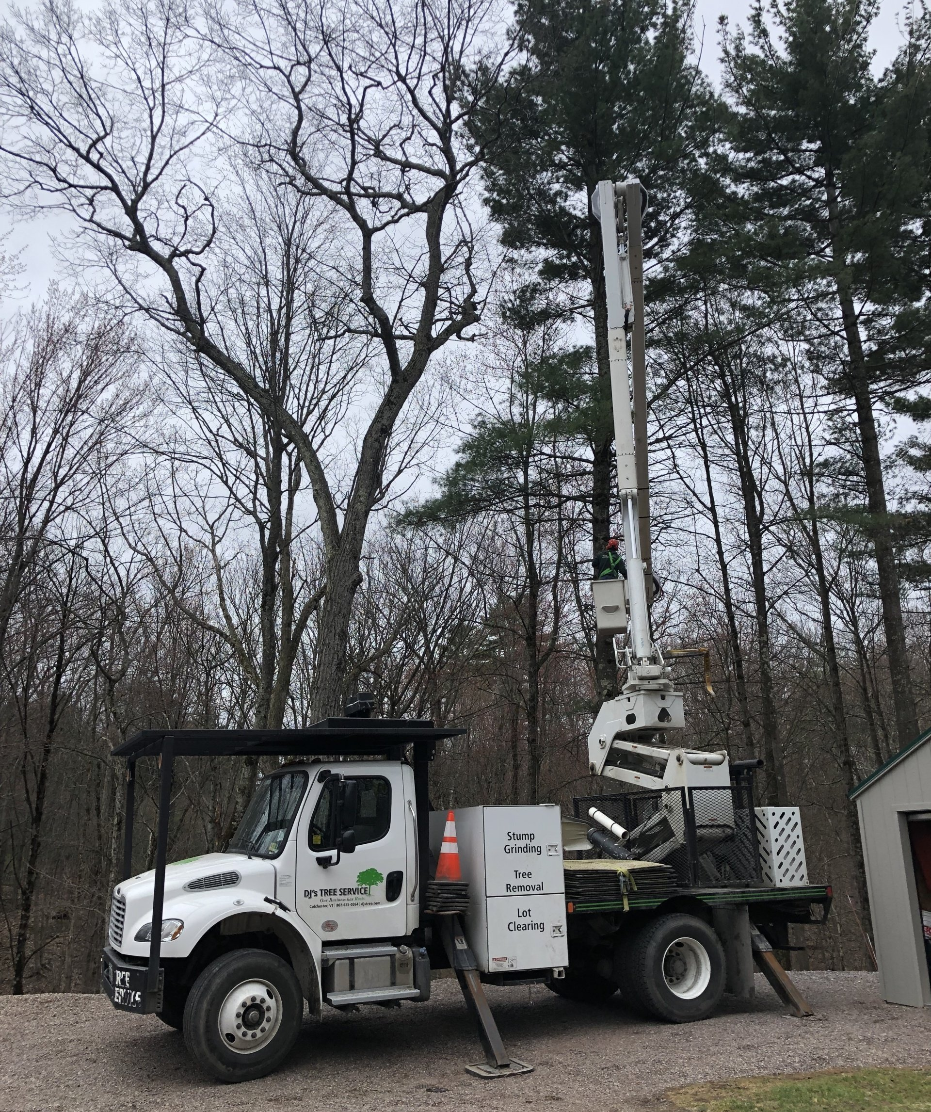 Tree Pruning — Bucket Truck in Colchester, VT
