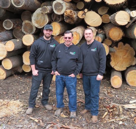 Stump Grinding — Owner of DJ's Tree Service in Colchester, VT