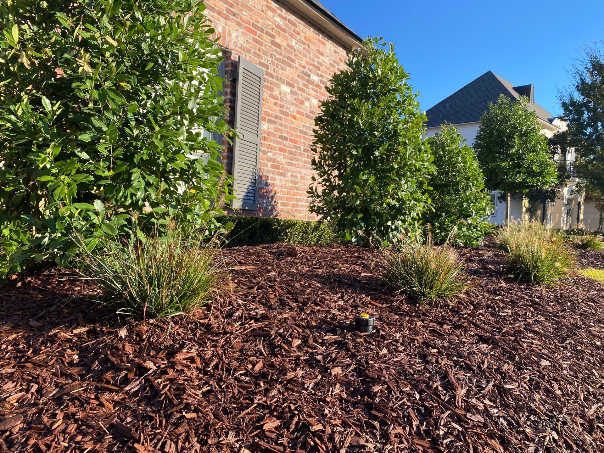 A brick house with a lot of mulch in front of it.