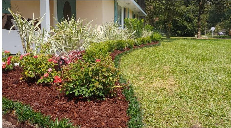 A lush green lawn with flowers and mulch in front of a house.