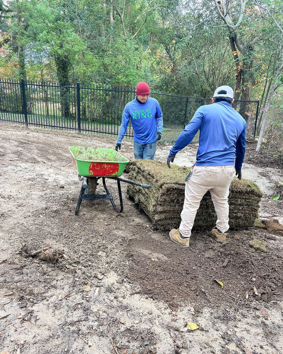 Two men are standing next to a wheelbarrow full of grass.