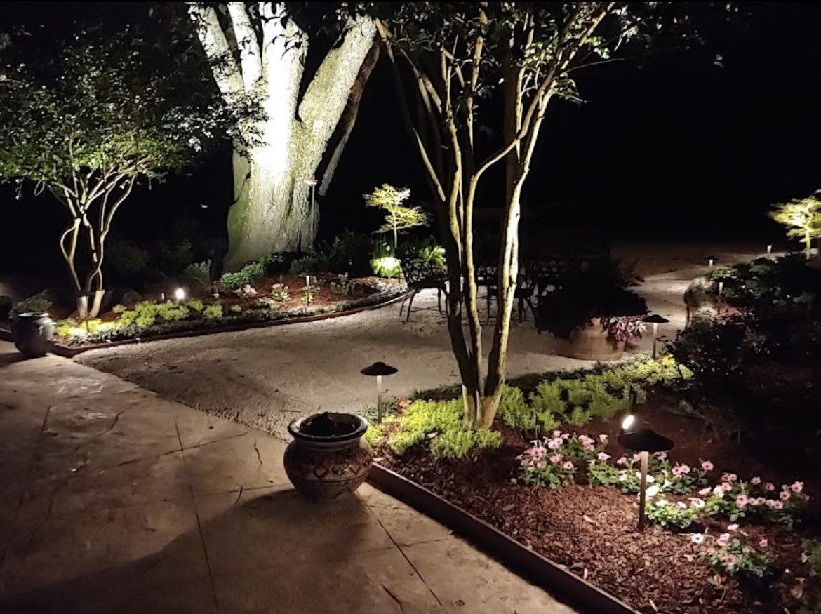 A tree is lit up at night in a garden.