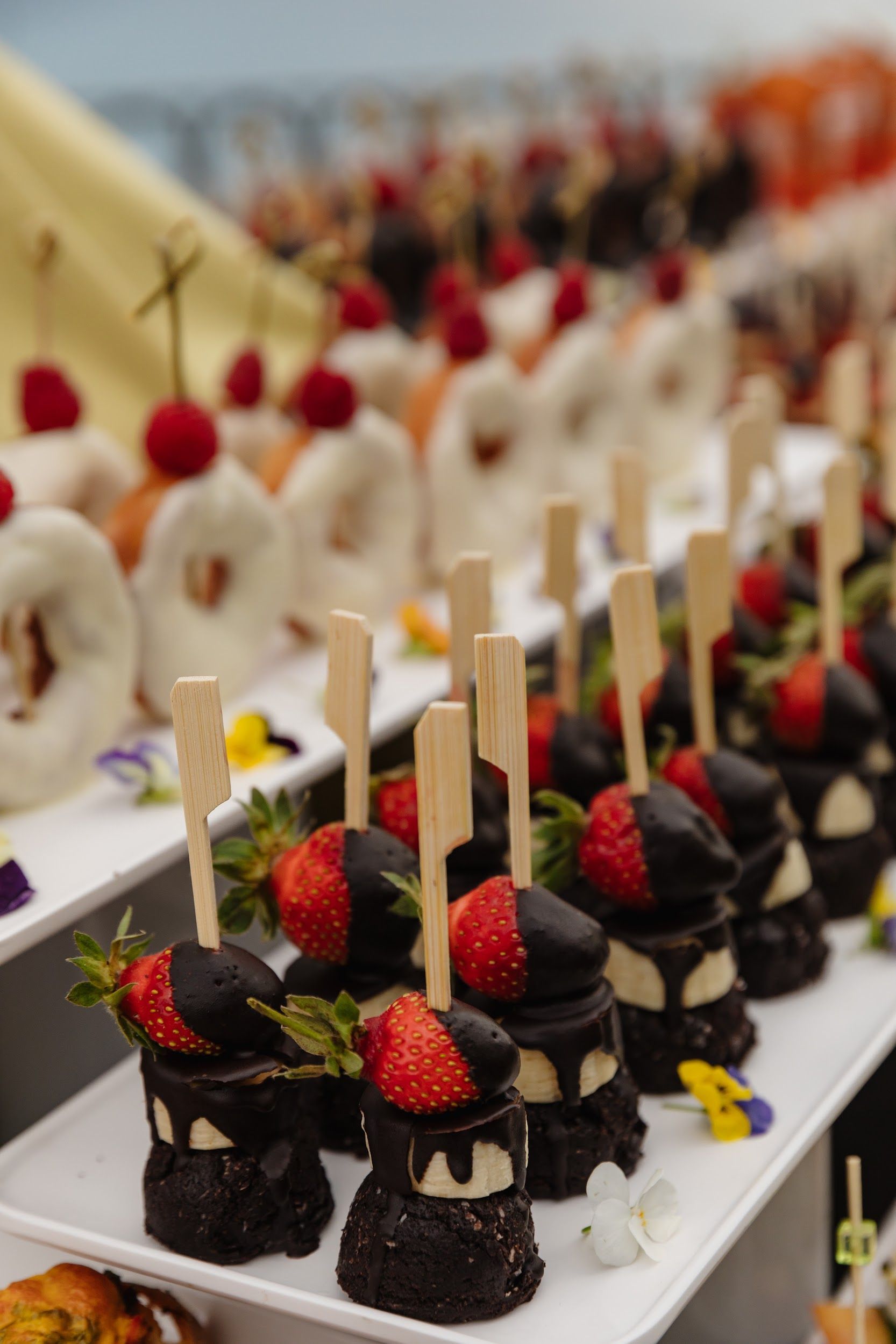 Falcon Hotel Antalya’ya ait otel odaları, restoranlar, açık havuz, plaj, spa ve etkinlik alanları